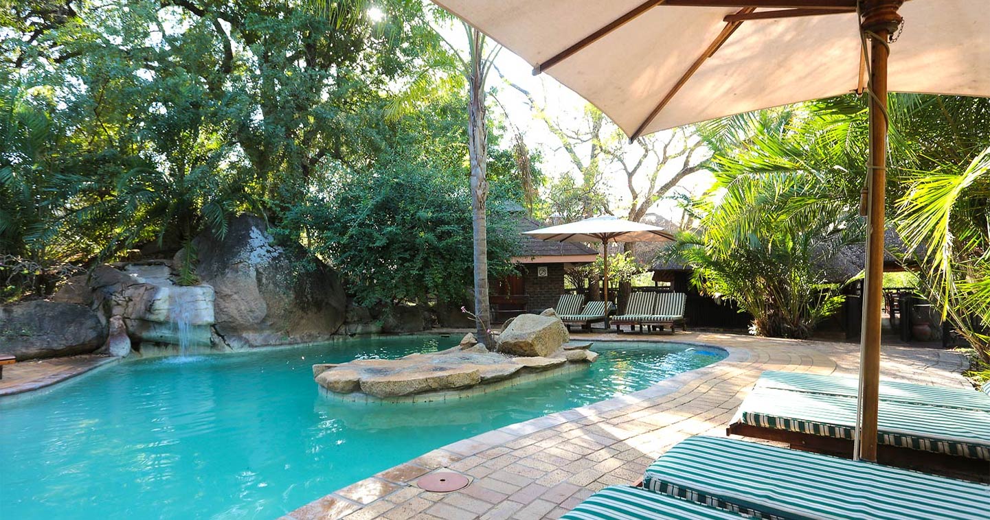 Pool at Idube Lodge in your safari in Sabi Sands