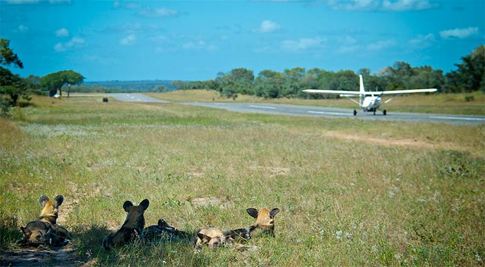 Special offer for Sabi Sabi in Sabi Sands - fly in package